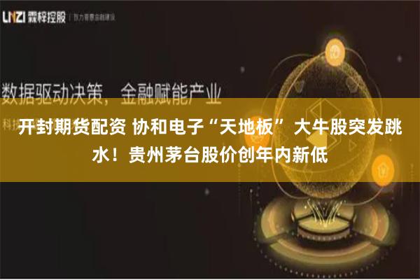 开封期货配资 协和电子“天地板” 大牛股突发跳水！贵州茅台股价创年内新低