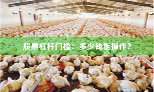 股票杠杆门槛：多少钱能操作？